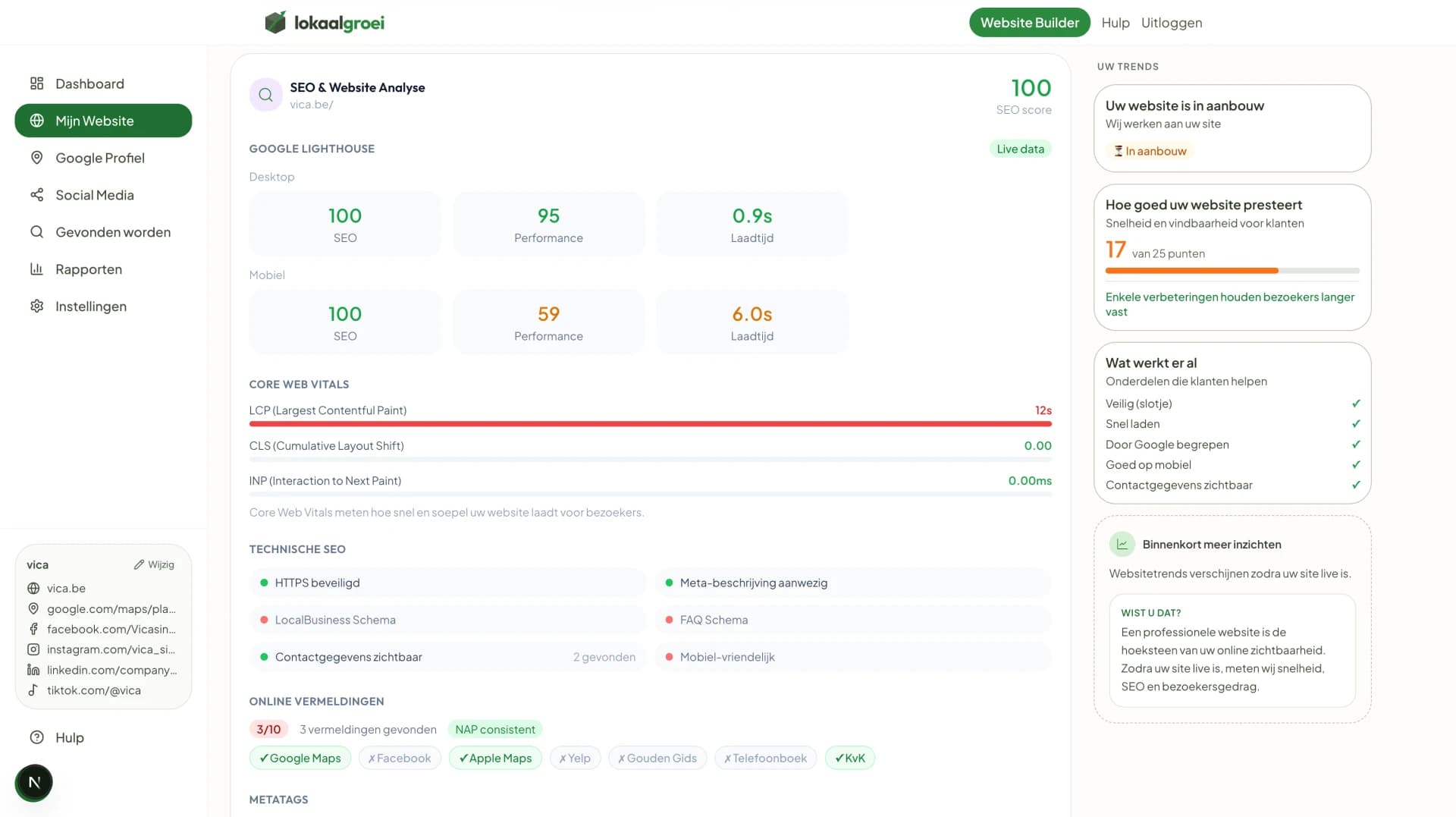 LokaalGroei Websiteanalyse screenshot