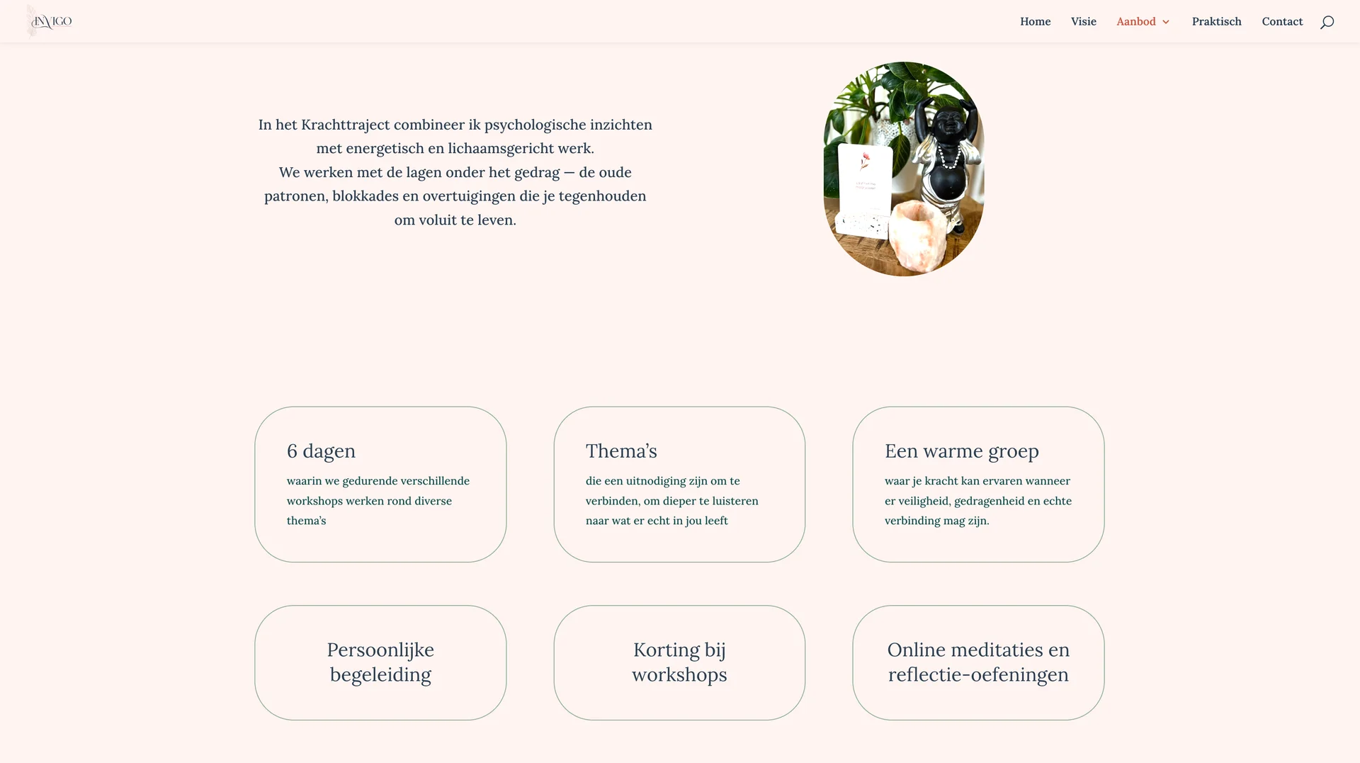 Praktijk InVigo Groepstraject screenshot