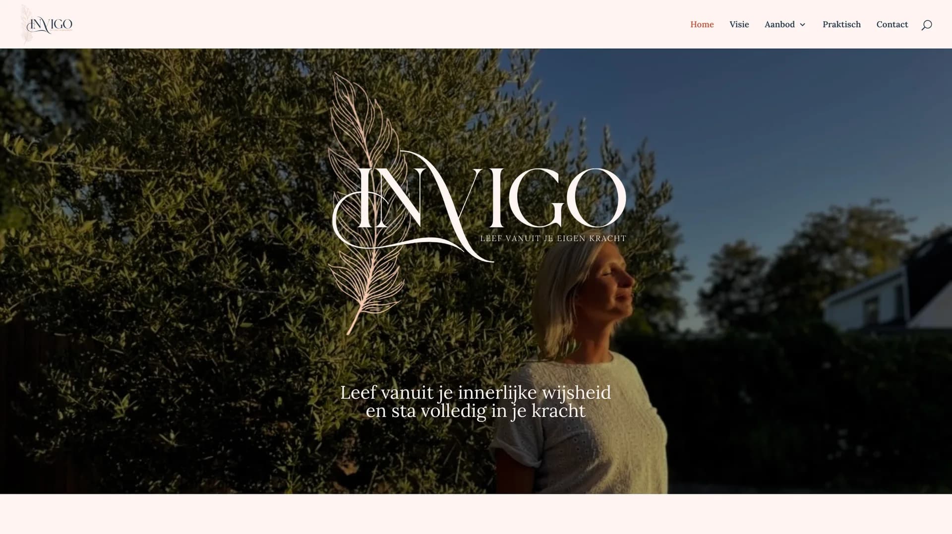 Praktijk InVigo interface screenshot